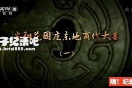 [2020考古探奇][央视考古纪录片][第二季 全15集][国语配音中文字幕] 1080P下载