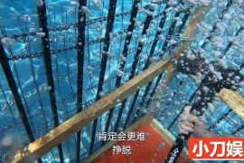 钱哥疯狂真人秀《奇葩挑战赛》第11季99集中字 1080高清纪录片解说素材百度网盘下载