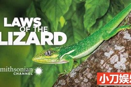 生物进化纪录片《蜥蜴法则 Laws of the Lizard》全1集中字 TS/蓝光高清纪录片百度网盘下载