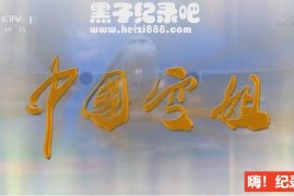 《中国空姐》全4集 国语配音中文字幕 720P高清下载