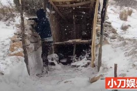 徒手搭建末日避难所系列纪录片《庇护所与暴风雪》全1集原版无字 4K高清自媒体解说素材百度网盘下载