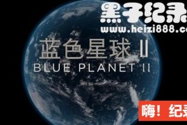 《蓝色星球2 Blue Planet II》全7集 国语/英语配音中英字幕 1080P/4k超清下载