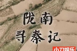 央视考古纪录片《陇南寻秦记》全1集 TS/蓝光高清纪录片百度网盘下载