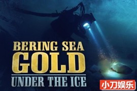 探索频道淘金热纪录片《白令海大吸金 Bering Sea Gold: Under the Ice》第1-3季中字 1080P高清自媒体解说素材百度网盘下载