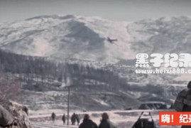 [美国历史：长津湖战役][PBS纪录片][1集][英语配音中英双字] 1080P/720P纪录片下载