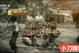 央视国防建设纪录片《海防女民兵》全5集 纪录片 1080/TS/8.4G百度网盘下载