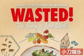 公益纪录片《食物浪费的故事 Wasted! The Story of Food Waste》全1集 TS/蓝光高清纪录片百度网盘下载