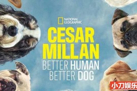 国家地理宠物狗训练纪录片《西泽教官狗主人训练班 Cesar Millan: Better Human Better Dog 2021》第1季全10集 英语外挂中字 官方纯净版 1080P/MKV/23.2G百度网盘下载