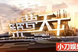 建筑设计纪录片《筑梦天下2017》合集 标清纪录片百度网盘下载