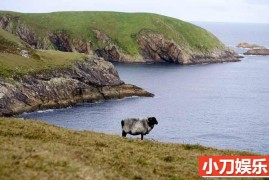 央视自然生态纪录片《野性爱尔兰 Wild Ireland》全1集 TS/蓝光高清纪录片百度网盘下载