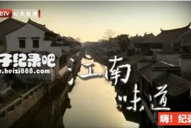 [江南味道][BTV美食纪录片][8集][国语配音中文字幕] 720P纪录片下载