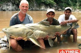 动物星球捕鱼纪录片《河中巨怪 River Monsters》第6季中字 1080P高清自媒体解说素材百度网盘下载