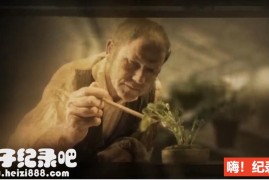 [植物的秘密武器/植物百态][2集][BBC][原生配音中英双字]720P下载