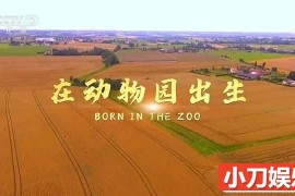 国家地理动物哺育纪录片《在动物园出生 Born in the Zoo》全1集中字 TS/蓝光高清纪录片百度网盘下载