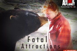 宠物袭击人类事件纪录片《致命宠物 Fatal Attractions》第1季全13集 英语外挂中字 官方纯净版 1080/MP4/28.1G 致命宠物百度网盘下载