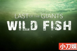 探险纪录片《追踪巨型鱼 Last of the Giants 2022》第1季 全8集 英语中字 720P高清纪录片百度网盘下载