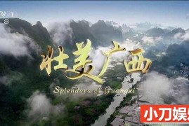 央视社会发展纪录片《壮美广西 Splendors of Guangxi》全5集 TS/蓝光高清纪录片百度网盘下载