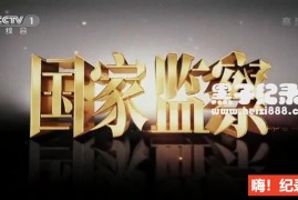 [国家监察][5集][央视纪录片][国语配音中文字幕]1080P下载