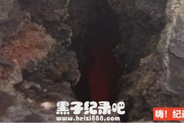 [与茱莉亚·布莱伯利徒步游冰岛][BBC纪录片][1集][原声配音中英双字] 720P纪录片下载