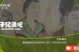 《唐墓壁画中的丝路风情》全4集 国语配音中文字幕 720P高清下载