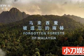 央视自然生态纪录片《马来西亚被遗忘的雨林 Forgotten Forests of Malaysia》全1集 TS/蓝光高清纪录片百度网盘下载