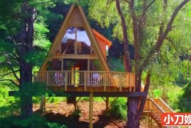 建筑设计纪录片《树屋大师 Treehouse Masters》第11季全11集 英语中英双字 官方纯净版 1080P/MP4/29.02G 树屋建造百度网盘下载