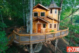 建筑设计纪录片《树屋大师 Treehouse Masters》第1季全8集 英语中英双字 官方纯净版 1080P/MKV/10.8G 树屋建造---百度网盘下载