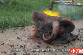 暗黑美食纪录片《稀奇古怪的食物 Bizarre Foods with Andrew Zimmern》第2季全32集 英语外挂中字 1080P/MKV/60.7G百度网盘下载