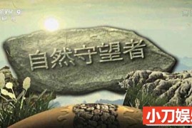 央视濒危物种保护纪录片《自然守望者》第2季 TS/蓝光高清纪录片百度网盘下载