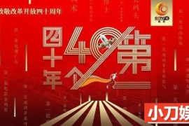 央视改革开放40周年纪录片《四十年四十个第一》全40集 720P/1080i高清纪录片百度网盘下载