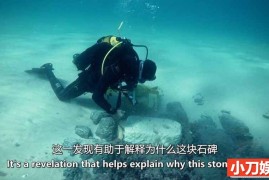 海底探索纪录片《深海之谜 Mysteries Of The Deep》第2季全8集中字 自媒体解说素材 1080P/MKV/22G百度网盘下载