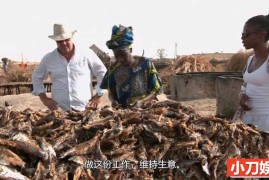 暗黑美食纪录片《稀奇古怪的食物 Bizarre Foods with Andrew Zimmern》第3季全11集 英语外挂中字 1080P/MKV/20.8G百度网盘下载