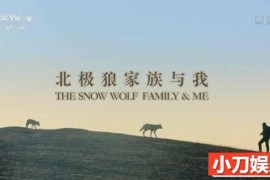 央视自然生态纪录片《北极狼家族与我 Snow Wolf Family and Me》全3集中字 TS/蓝光高清纪录片百度网盘下载