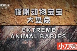 国家地理动物勇士纪录片《极限动物宝宝大盘点 Extreme Animal Babies》全6集中字 TS/蓝光高清纪录片百度网盘下载