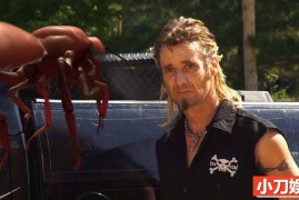 捕猎纪录片《灭虫大师 Billy the Exterminator》第6季全16集 英语中英双字 官方纯净版 1080P/MKV/6.41G百度网盘下载