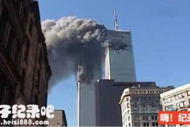 《911—塔倒之后 911 After the Towers Fell 2010》全1集 英语中字 720P高清下载