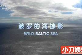 自然生态纪录片《波罗的海掠影 Wild Baltic Sea》全3集中字 TS/蓝光高清纪录片百度网盘下载