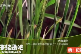 《节气 时间里的中国智慧》全8集 国语配音中文字幕 720P高清下载