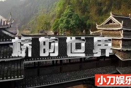 央视桥梁建筑纪录片《桥的世界》全5集 TS/蓝光高清纪录片百度网盘下载