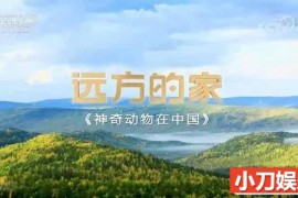 远方的家人文旅行纪录片《神奇动物在中国》第1部10集 1080P高清纪录片百度网盘下载