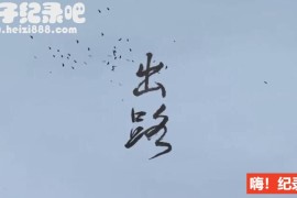 《出路》全3集 国语配音中文字幕  1080p超清下载