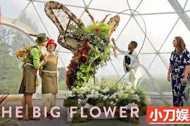 Netflix花艺对决真人秀《鲜花大战 The Big Flower Fight》第1季中字 1080P高清自媒体解说素材百度网盘下载