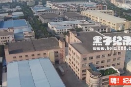 《中国工厂》全3集 国语配音中文字幕 1080P超清下载