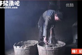 [喜洋塘][王兵纪录片][豆瓣7.0][原生配音无字幕]720P下载