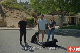 国家地理宠物狗训练纪录片《西泽教官狗主人训练班 Cesar Millan: Better Human Better Dog 2023》第2季全12集 英语多国中字 官方纯净版 1080P/MKV/28.5G百度网盘下载