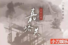 央视历史人文纪录片《河西走廊之嘉峪关》全6集 TS/蓝光高清纪录片百度网盘下载