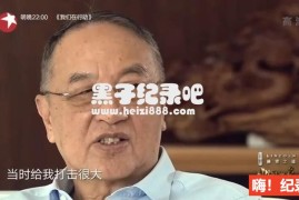 《中国老总 2018》全8集 国语配音中文字幕 1080P超清下载