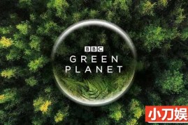 BBC植物研究纪录片《绿色星球 The Green Planet》全5集中字 4K蓝光109G珍藏版纪录片百度网盘下载