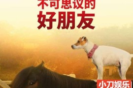 国家地理跨物种友谊纪录片《不可思议的好朋友 Unlikely Animal Friends》全3季中字 1080P高清自媒体解说素材百度网盘下载