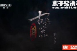 《古兵器大揭秘》两季全 20集 国语配音中文字幕 1080P超清下载